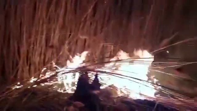 В Атырауской области произошло возгорание камыша смотреть онлайн