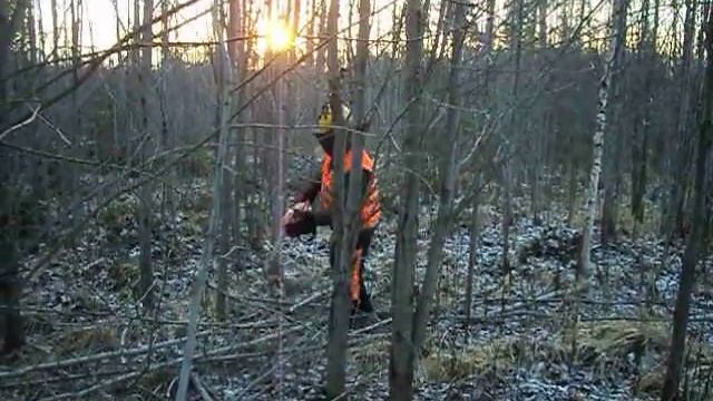 MOV00555 смотреть онлайн