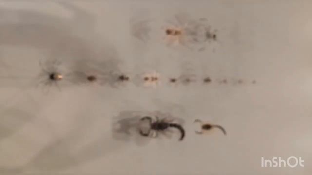 Qatar Museum # National Museum Of Qatar