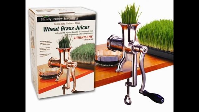 Best Juicer for Wheatgrass Reviews (2022 Buyers Guide) ✅ смотреть онлайн