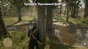 Экзотика Red Dead Redemption 2 I Где найти все экзотические предметы в RDR 2