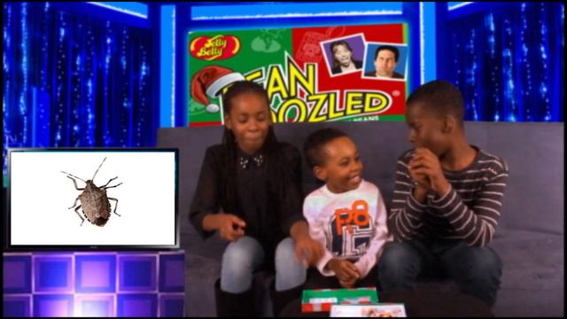 BEAN BOOZLED CHALLENGE / PRANK GAME SHOW - GREEN TUBE KIDS TV смотреть онлайн