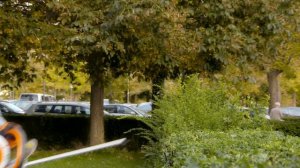 STIHL HSE 61 ꘡ How to trapezium cutting with an electric hedge trimmer | STIHL Tutorial