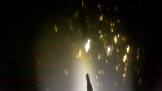 Самара. Тюлька и освобождение щучек. 2012 12 01 смотреть онлайн