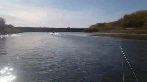 Ривьера 3200 СК под 15 мотором
