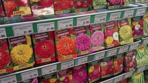 Поехала в магазин Семена