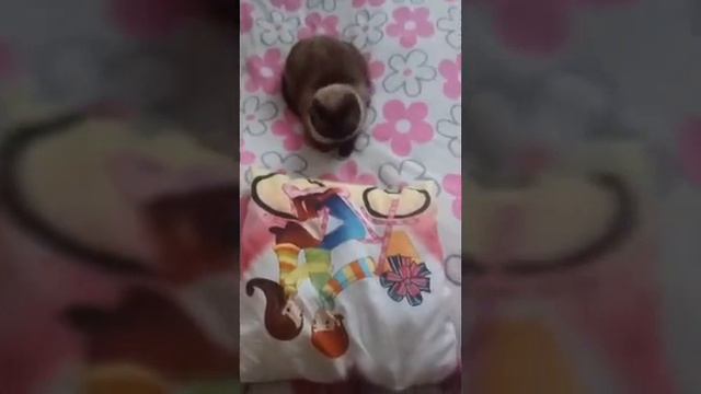 Анунаки,Лили,мусор. смотреть онлайн