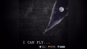 Xcho-i can fly