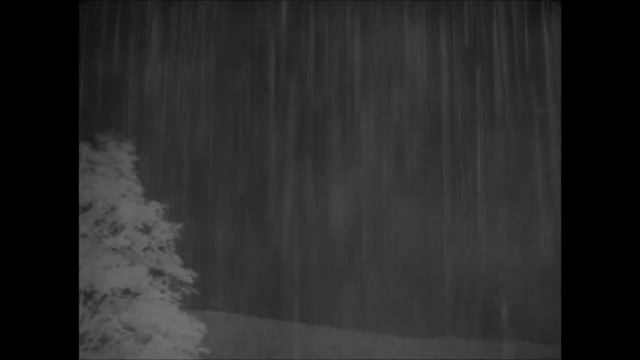 Ivan's Childhood - Andrei Tarkovsky смотреть онлайн