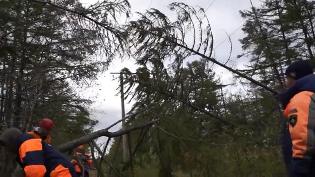 Спасатели расчистили более 30 км ЛЭП после циклона на Сахалине смотреть онлайн