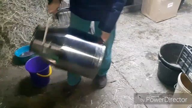 КАК ПРАВИЛЬНО ВЫМЫТЬ ДОИЛЬНЫЙ АППАРАТ!