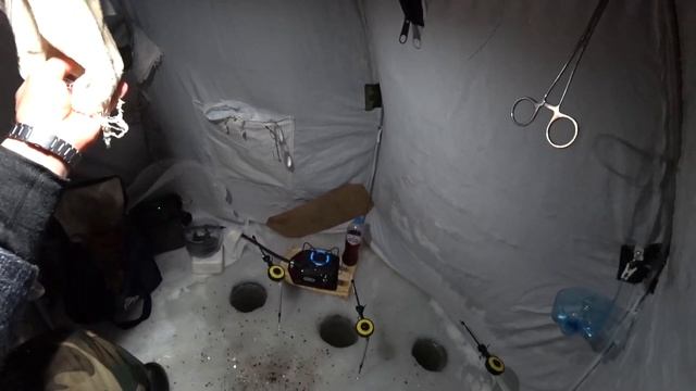 Озеро Салтаим. декабрь 2022