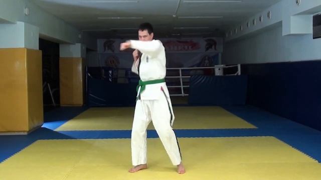 5 тренировка дома Тэкэндо смотреть онлайн