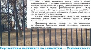 Долг по алиментам - становись самозанятым!