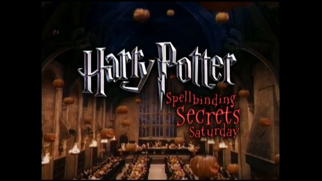 Harry Potter Spellbinding Secrets Saturday on Kids' WB! смотреть онлайн