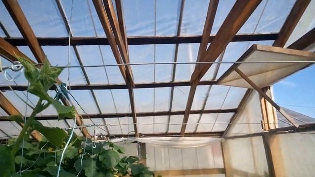 Конструкция деревянной теплицы #2 смотреть онлайн