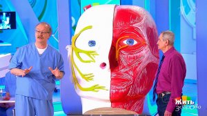 Жить здорово! Выпуск от 25.01.2018