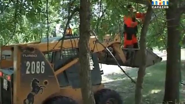 В поселке Елшанка открыли сквер. смотреть онлайн