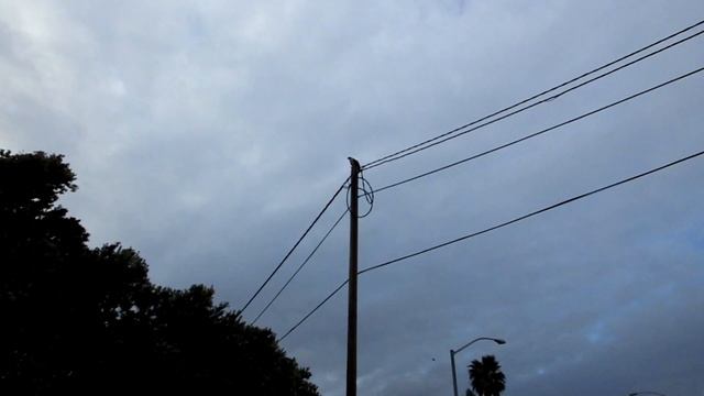 Fujifilm HS50EXR Zoom Test - Hawk Eating Fish смотреть онлайн