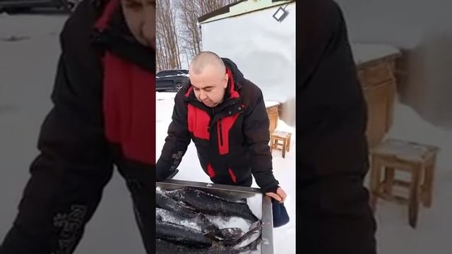 рыбалка на осетра на новом водоеме в кокино смотреть онлайн