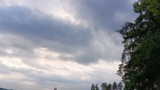 31.07.2023 Вечерний ТаваТуй смотреть онлайн