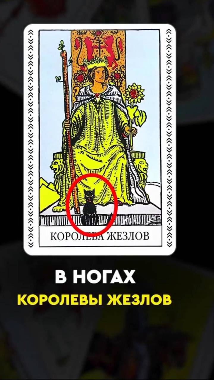 О чем говорит черная кошка в ногах Королевы жезлов? 🐈⬛ смотреть онлайн