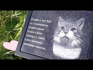 Бумеранг вернулся: жестокий мучитель и убийца кота Кузи погиб...