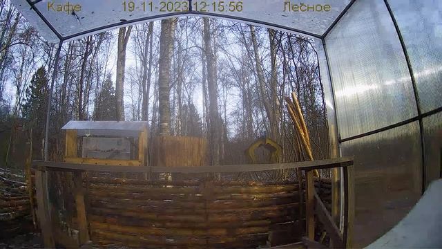 Модернизация Кафе "Лесное" смотреть онлайн