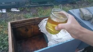 Как объединить рой с пчелиной семьёй..."Моё пчеловодство". пересадка#простой способ# роеловство