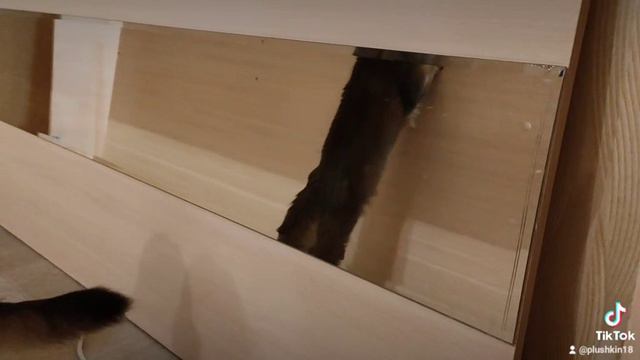 Сомали Григорий против Григория)