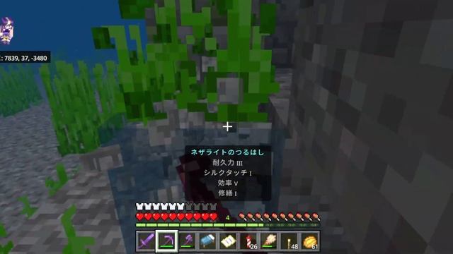 【驚き!!】なんで唾攻撃してこないの！？長距離移動の末、拠点で新たな仲間！　#80【女性実況】【マインクラフト　マイクラ　まいくら　Minecraft】 смотреть онлайн