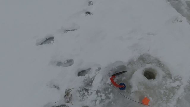 Жерлицы в ГЛУХОЗИМЬЕ / выходные на РЫБАЛКЕ смотреть онлайн