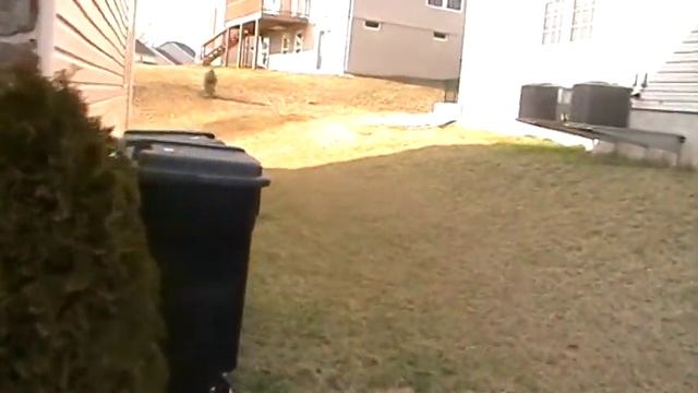 Panasonic SDR-S50 Zoom Test смотреть онлайн