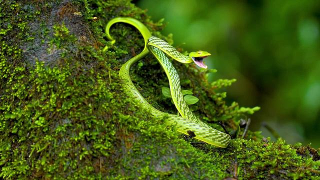 Доброе утро! смотреть онлайн