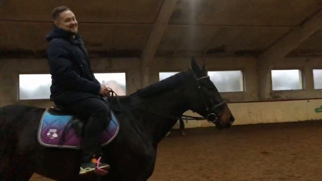 Месяц из жизни конника. Будни на конюшне. смотреть онлайн