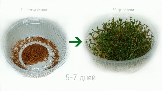 Строительная Лаборатория