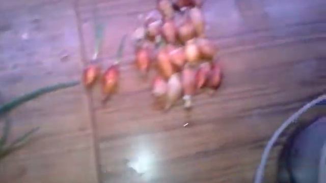 12 суток, 2 см, 1 смотреть онлайн