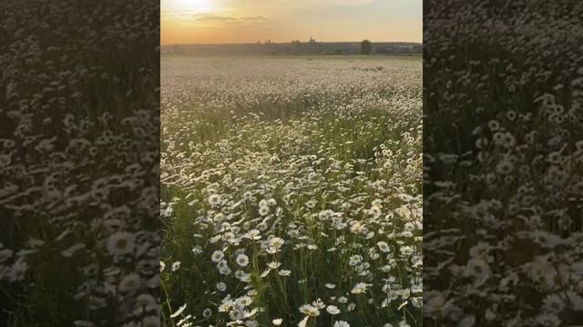 Техника для восстановления баланса смотреть онлайн