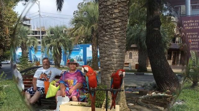 СОЧИ . ГОРОД У МОРЯ. смотреть онлайн