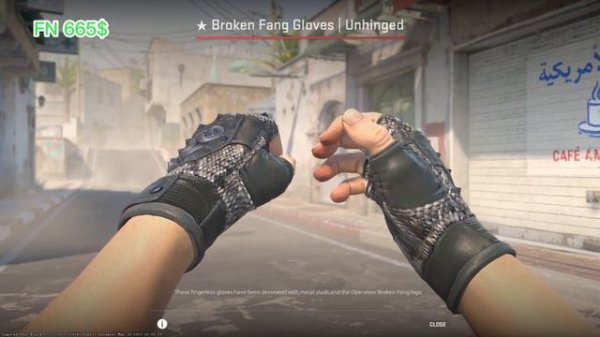 ALL GLOVES SKINS SHOWCASE IN COUNTER STRIKE 2 | CS2 | PRICE UPDATE
