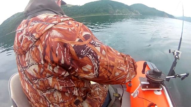 Троллинг симы, камбала. Залив Восток, Приисковый. Охота и рыбалка на Дальнем Востоке. смотреть онлайн