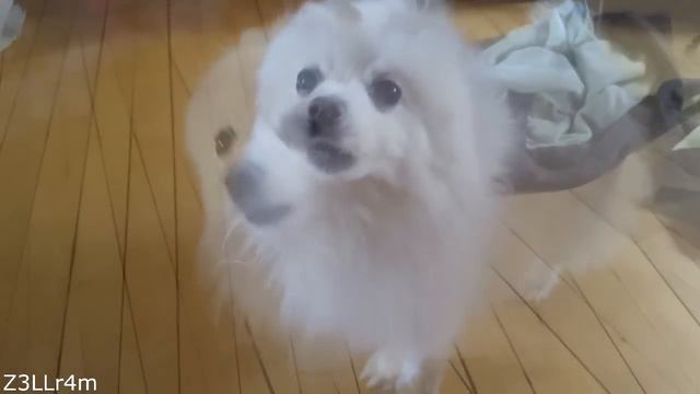 Gabe's Silence смотреть онлайн