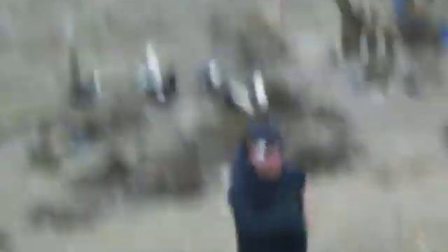 Festa no Galinheiro! смотреть онлайн