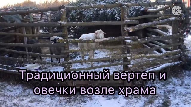 Как мы праздновали Сочельник и Рождество Христово смотреть онлайн