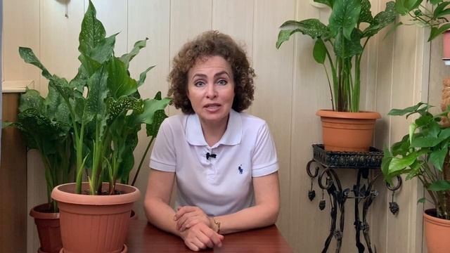 Вырастить КАЛЛУ легко! Секреты ухода за Каллой.