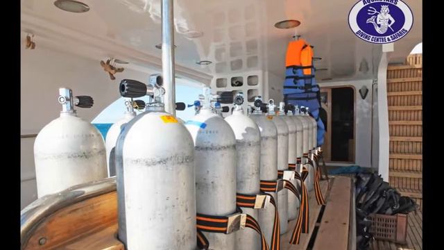 AQUASTARS Hurgada смотреть онлайн