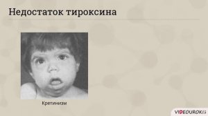 Видеоурок по биологии «Роль гормонов в обмене, росте и развитии организма»