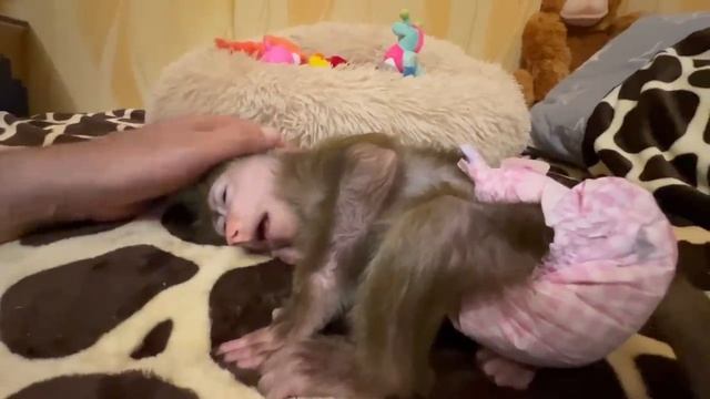 Степашка ПОМОГАЕТ Мане не упасть с дивана и ДЕЛИТСЯ с ней клубникой! смотреть онлайн