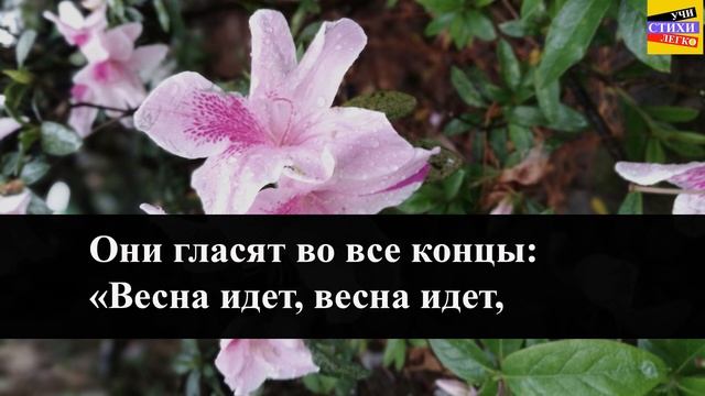Ф.И. Тютчев " Весенние воды " | Учи стихи легко | Караоке | Аудио Стихи Слушать Онлайн смотреть онлайн