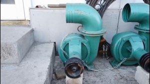 насос улитка 150-150